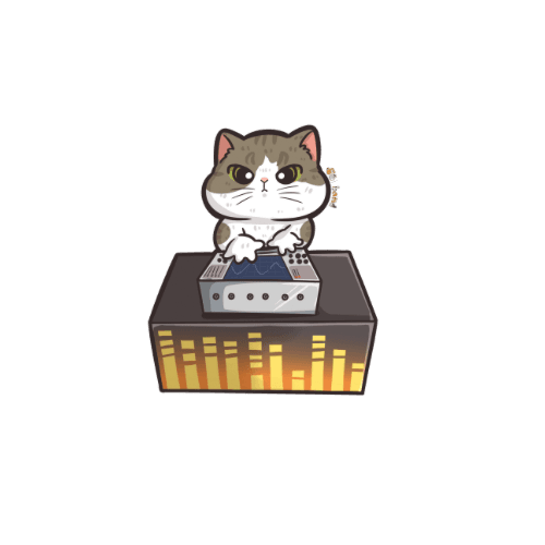 Sound Engineer